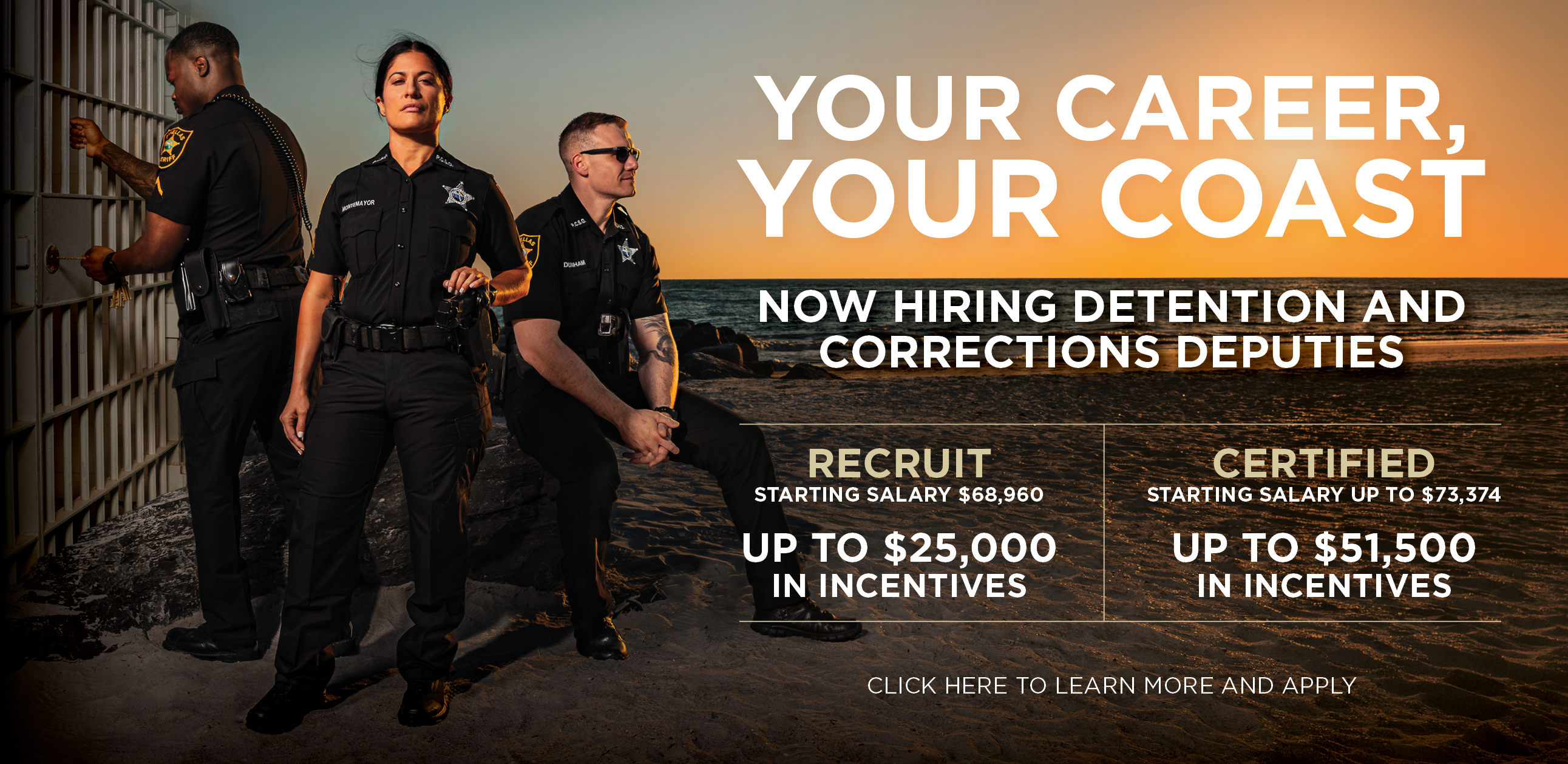 DDC Incentives